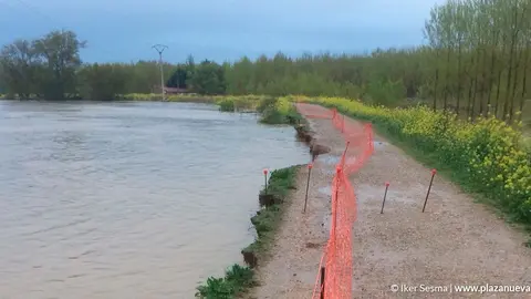 El maz&oacute;n de los Sotos del Ebro