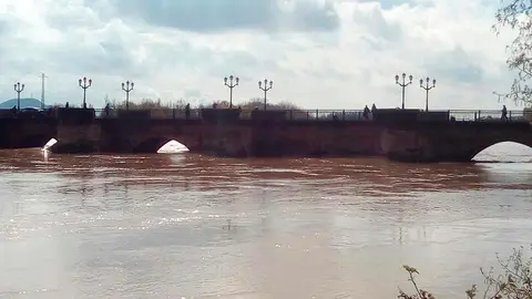 Crecida del Ebro (Tudela, 13-04-2018 a las 11 horas) - 6