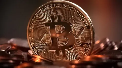 Todo sobre las criptomonedas