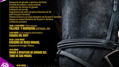 Ferias 2018 en Rinc&oacute;n de Soto