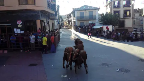 Encierro Rincon Olivedo