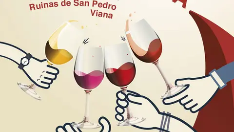 D&iacute;a Movimiento D.O. en Viana