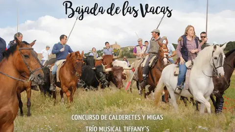VII D&iacute;a de la Trashumancia Arguedas 2018