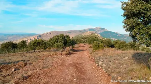 Hasta una treintena de montes de la Rioja Baja contar&aacute;n con nuevas &aacute;reas de cortafuegos