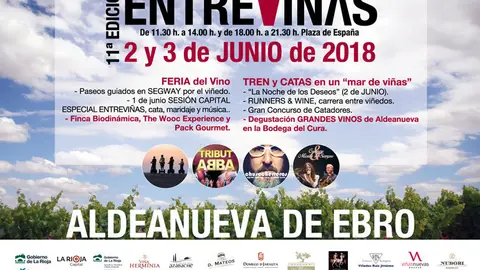 XI Entrevi&ntilde;as en Aldeanueva de Ebro