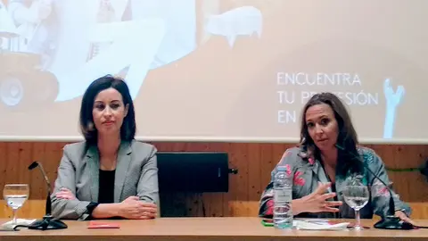 Presentaci&oacute;n de los seis nuevos ciclos