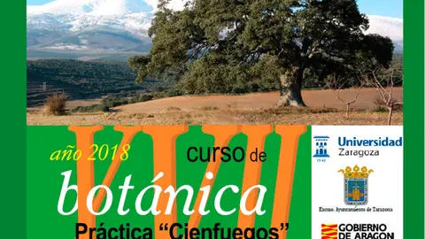 XVII Curso en Tarazona de Bot&aacute;nica Pr&aacute;ctica 'Cienfuegos' sobre la flora y vegetaci&oacute;n del Moncayo