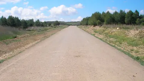 Un camino de Ejea de los Caballeros