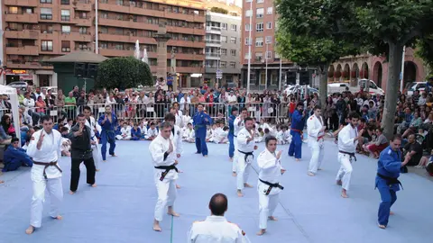 Exhibici&oacute;n de judo en Calahorra