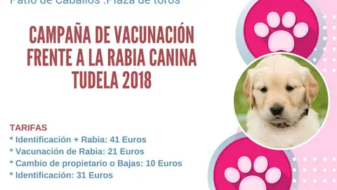 Campa&ntilde;a en Tudela de vacunaci&oacute;n frente a la rabia canina
