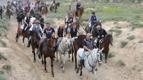 III D&iacute;a de la Trashumancia en Caparroso 