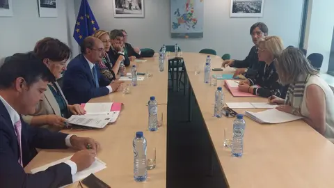 Reuni&oacute;n de Javier Lamb&aacute;n con Corina Cretu