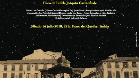 Presentaci&oacute;n de 'Las Plazas de Tudela'