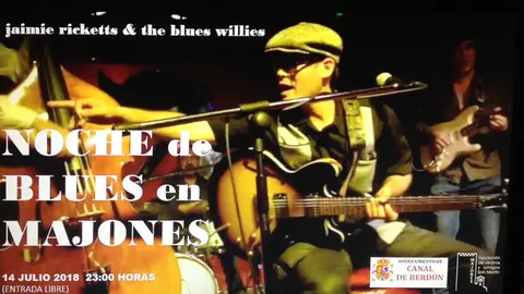 Noche de Blues en Majones