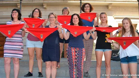 Colectivos feministas lanzar&aacute;n el cohete de Tudela