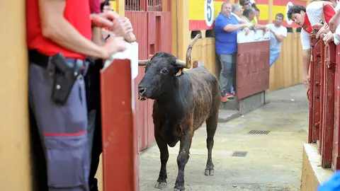 Vaquilla en el callej&oacute;n