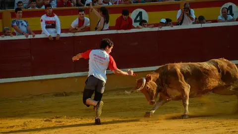 Vaquillas Tudela, d&iacute;a 30 - 5