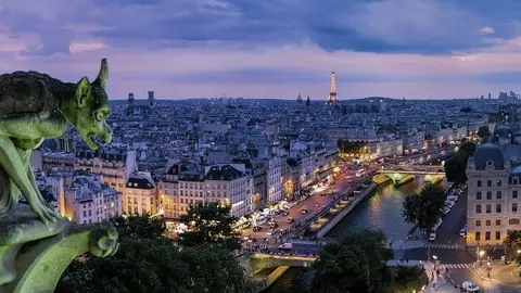 Espectaculares vistas desde Notre Dame