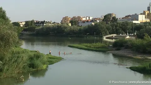Gente ba&ntilde;&aacute;ndose en el Ebro