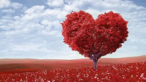 Los amarres de amor, uno de los hechizos m&aacute;s antiguos para recuperar el amor