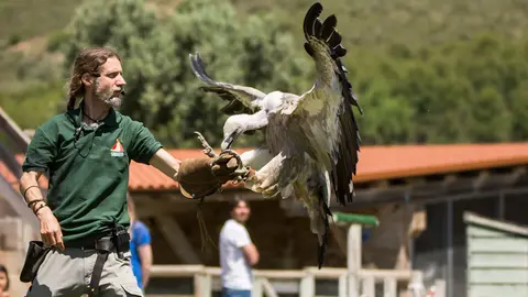 Sendaviva celebrar&aacute; este fin de semana el D&iacute;a Internacional de los Buitres