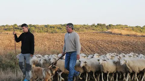 VI Fiesta de los Usos Tradicionales de la Trashumancia en Bardenas en Carcastillo 2018 - 11