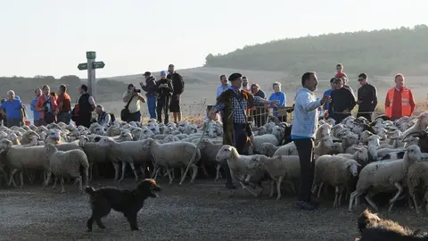 VI Fiesta de los Usos Tradicionales de la Trashumancia en Bardenas en Carcastillo 2018 - 14