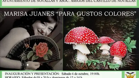 Exposici&oacute;n en Novallas de cuadros y abanicos 'Para gustos colores' de Marisa Juanes