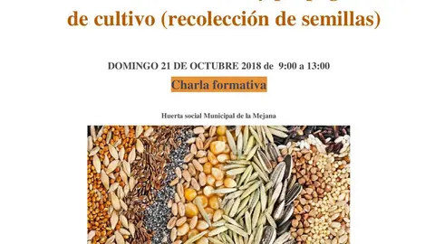 Charla formativa en Tudela sobre siembra y propagaci&oacute;n de cultivos huertos municipales
