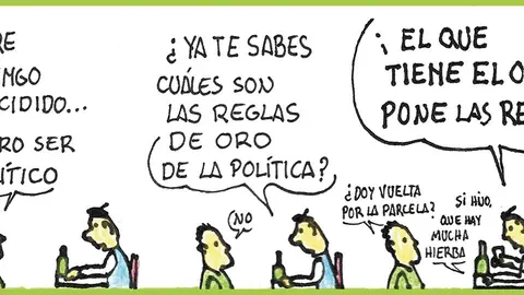 Yorch-1231-1