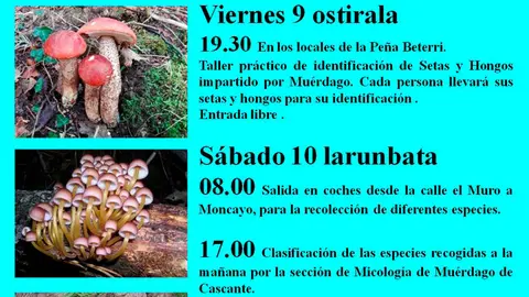XX Jornadas Micol&oacute;gicas de la Pe&ntilde;a Beterri de Tudela