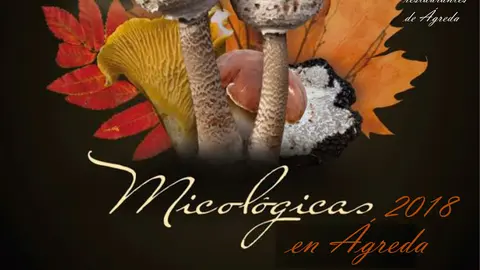 Jornadas micol&oacute;gicas 2018 en &Aacute;greda