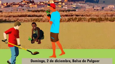 Reforestaci&oacute;n con voluntarios en Cascante