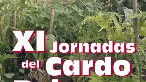 XI Jornadas del Cardo Rojo de Corella