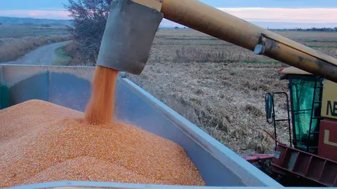 La finca La Alfranca desarrollar&aacute; tres nuevos ensayos de transferencia agraria en el pr&oacute;ximo a&ntilde;o