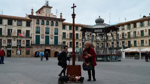 San Ant&oacute;n en Tudela, 2019 - 7
