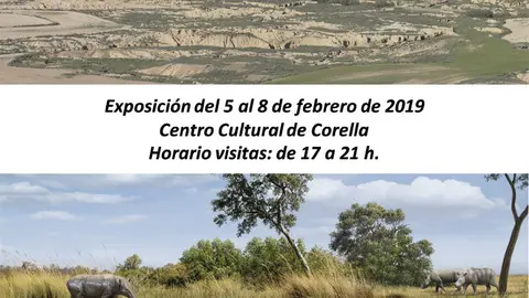 Exposici&oacute;n en Corella 'Las Bardenas Reales hace 20 millones de a&ntilde;os'