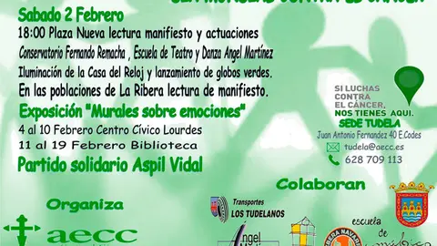D&iacute;a Mundial Contra el C&aacute;ncer 2019 en Tudela