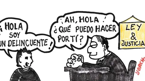 Yorch-1236-2