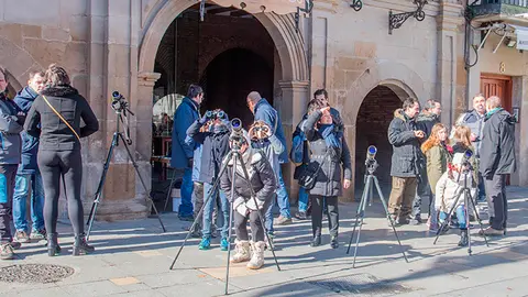 Observatorio de cig&uuml;e&ntilde;as instalado en la Plaza Nueva de Tudela 2