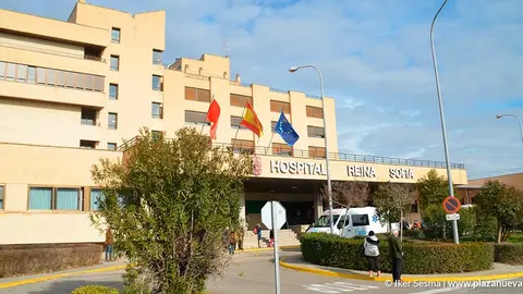 Hospital Reina Sof&iacute;a, hospital de Tudela, salud 2