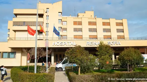Hospital Reina Sof&iacute;a, hospital de Tudela, salud 4