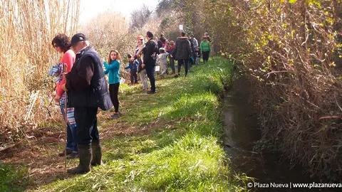 Acciones de Mascotas verdes, plantaci&oacute;n de &aacute;rboles y fuente de la salud 4
