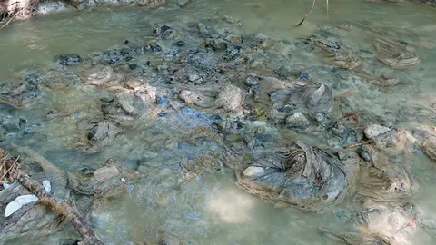 Vertidos en el r&iacute;o Alhama
