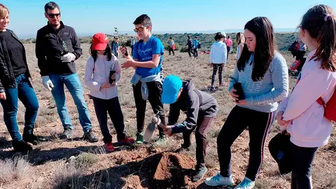 Los escolares de Tarazona participan en la repoblaci&oacute;n de la Dehesa