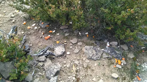 Tu c&aacute;mara denuncia, Iosu Pascual en la Javierada
