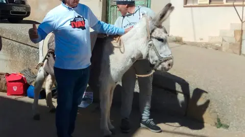 El Alcalde de Torrubia particip&oacute; el a&ntilde;o pasado con su burro en la manifestaci&oacute;n contra la Espa&ntilde;a Vaciada