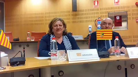 Comisión permanente Consejo Protección Civil