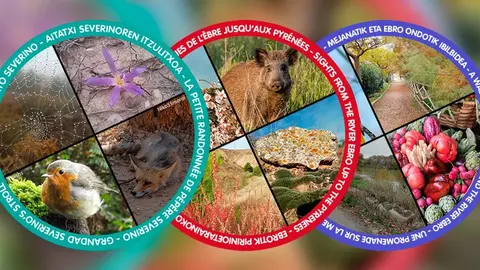 Argia Ikastola y Ayuntamiento de Tudela presentan tres itinerarios por la naturaleza