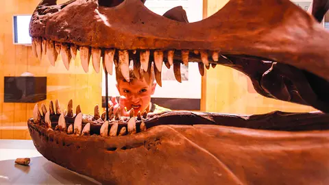 Los ni&ntilde;os juegan a Jurassic Park